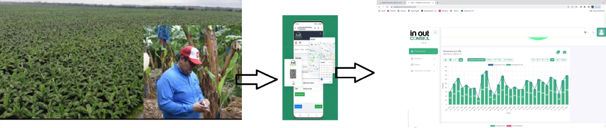 Cuadrilla agrícola en el campo usando la app InOut Control para registrar tareas por parcela